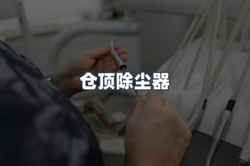 仓顶除尘器
